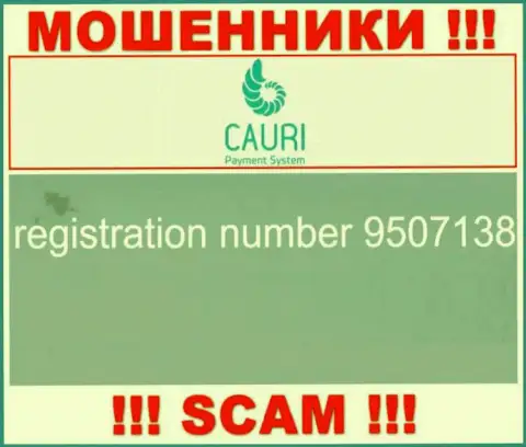Регистрационный номер, принадлежащий незаконно действующей конторе Каури Ком: 9507138