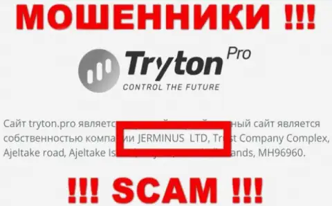Данные о юридическом лице Тритон Про - это компания Jerminus LTD