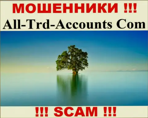 All Trd Accounts прикарманивают вклады и выходят сухими из воды - они скрывают сведения об юрисдикции