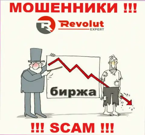 Взаимодействуя с дилинговой организацией RevolutExpert и не ожидайте доход, потому что они циничные ворюги и internet-лохотронщики