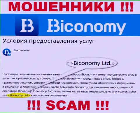 Юридическое лицо, управляющее интернет обманщиками Biconomy - это Бикономи Лтд
