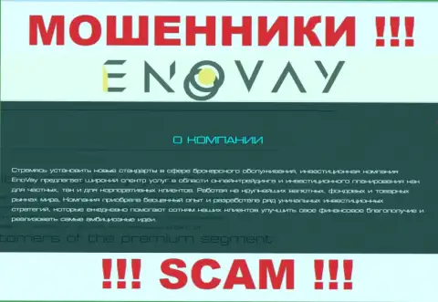 Поскольку деятельность internet мошенников EnoVay - это сплошной обман, лучше будет взаимодействия с ними избежать