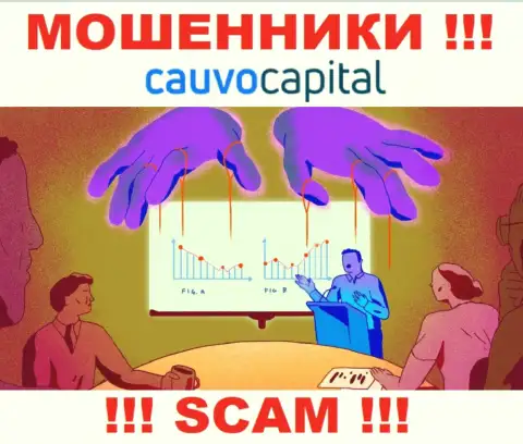 Не стоит соглашаться иметь дело с internet-мошенниками Cauvo Capital, украдут финансовые вложения