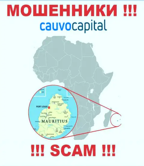 Контора Cauvo Brokerage Mauritius LTD похищает вложенные деньги доверчивых людей, зарегистрировавшись в оффшоре - Mauritius