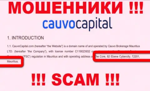 Невозможно забрать обратно деньги у организации КаувоКапитал - они спрятались в оффшоре по адресу - The Core, 62 Ebene Cybercity, 72201, Mauritius