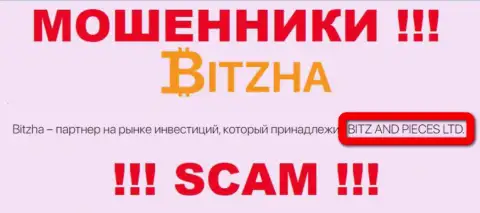 На официальном сайте Bitzha 24 мошенники указали, что ими владеет Битж энд Пицес Лтд