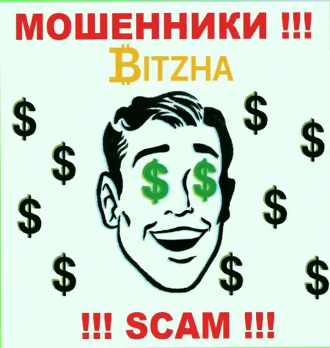 Компания Bitzha - это МОШЕННИКИ !!! Орудуют незаконно, потому что не имеют регулятора