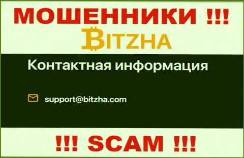 Адрес электронного ящика жуликов Bitzha24, информация с официального онлайн-ресурса