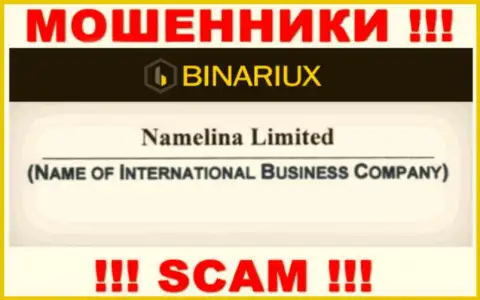 Binariux Net - это интернет обманщики, а руководит ими Namelina Limited