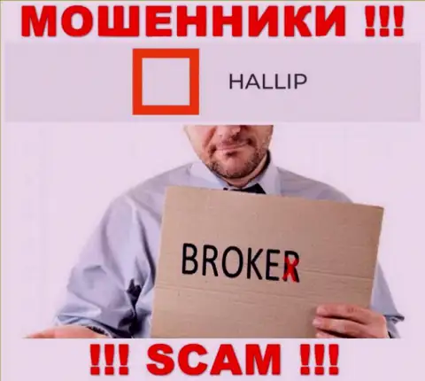 Род деятельности internet-шулеров Hallip Com - это Брокер, однако помните это кидалово !!!