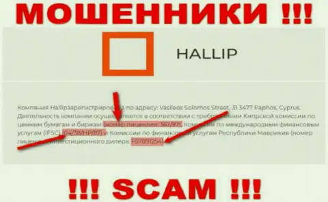 Не взаимодействуйте с ворами Hallip - существованием лицензионного документа, на сайте, заманивают людей