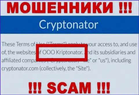 Организация Криптонатор Ком находится под руководством конторы OOO Криптонатор