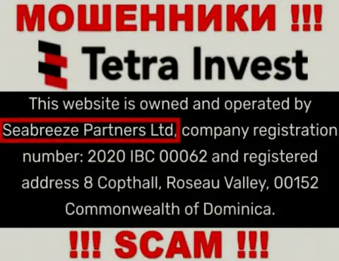 Юр лицом, владеющим internet ворами Тетра-Инвест Ко, является Seabreeze Partners Ltd