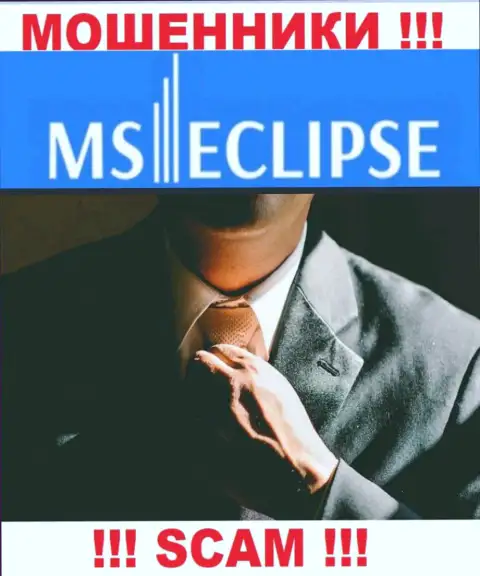 Инфы о лицах, которые руководят MSEclipse в интернет сети разыскать не представляется возможным