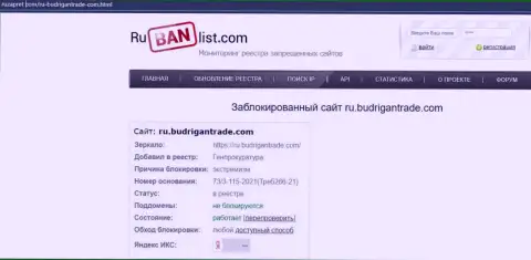 Web-сайт BudriganTrade в пределах Российской Федерации был заблокирован Генеральной прокуратурой