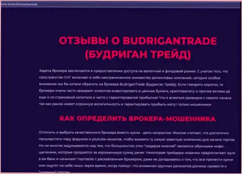 Budrigan Ltd - это организация, сотрудничество с которой доставляет лишь потери (обзор противозаконных деяний)