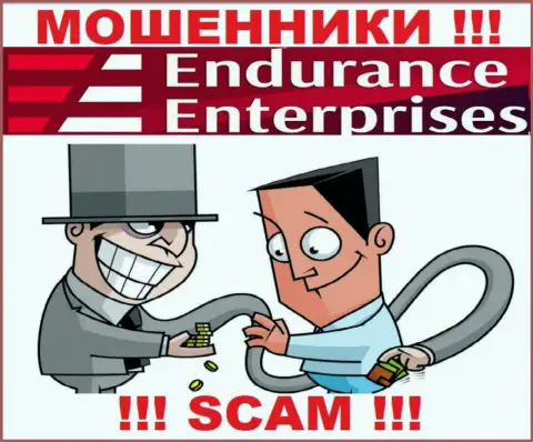 Заработка с конторой Endurance Enterprises Вы не увидите - не рекомендуем заводить дополнительно финансовые активы