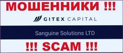 Юридическое лицо GitexCapital - это Sanguine Solutions LTD, такую инфу показали жулики на своем сайте