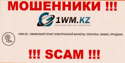 Деятельность internet-мошенников 1WM Kz: Интернет-обменник - это ловушка для неопытных клиентов