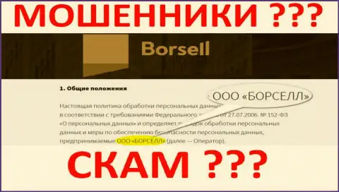 Borsell LLC - это контора, управляющая интернет мошенниками Borsell Ru