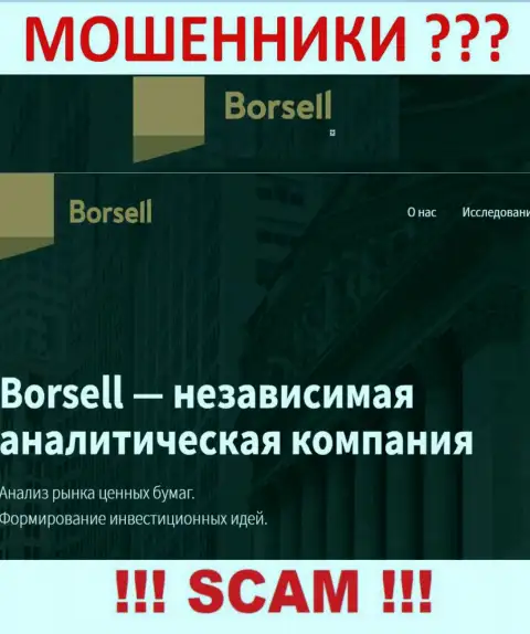 Что касается области деятельности Borsell Ru (Аналитика) - это 100 % надувательство