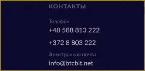 Номера телефонов и адрес электронной почты криптовалютного обменника BTCBit Net