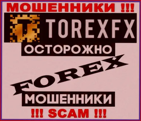Род деятельности Torex FX: Forex - хороший заработок для интернет-махинаторов